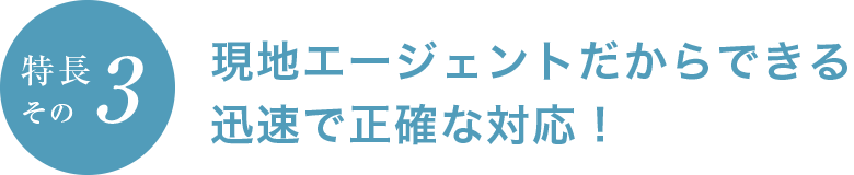 現地エージェントだからできる迅速で正確な対応